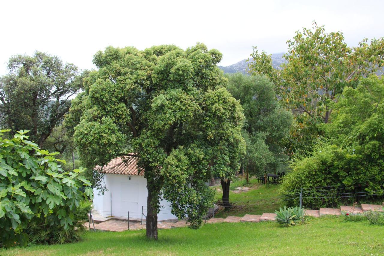 Finca El Campo Algeciras Exterior foto